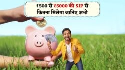 ₹500 से ₹5,000 की SIP में 20 साल में कितना मिलेगा Return? July 2025 SIP Calculator से करें पूरा हिसाब