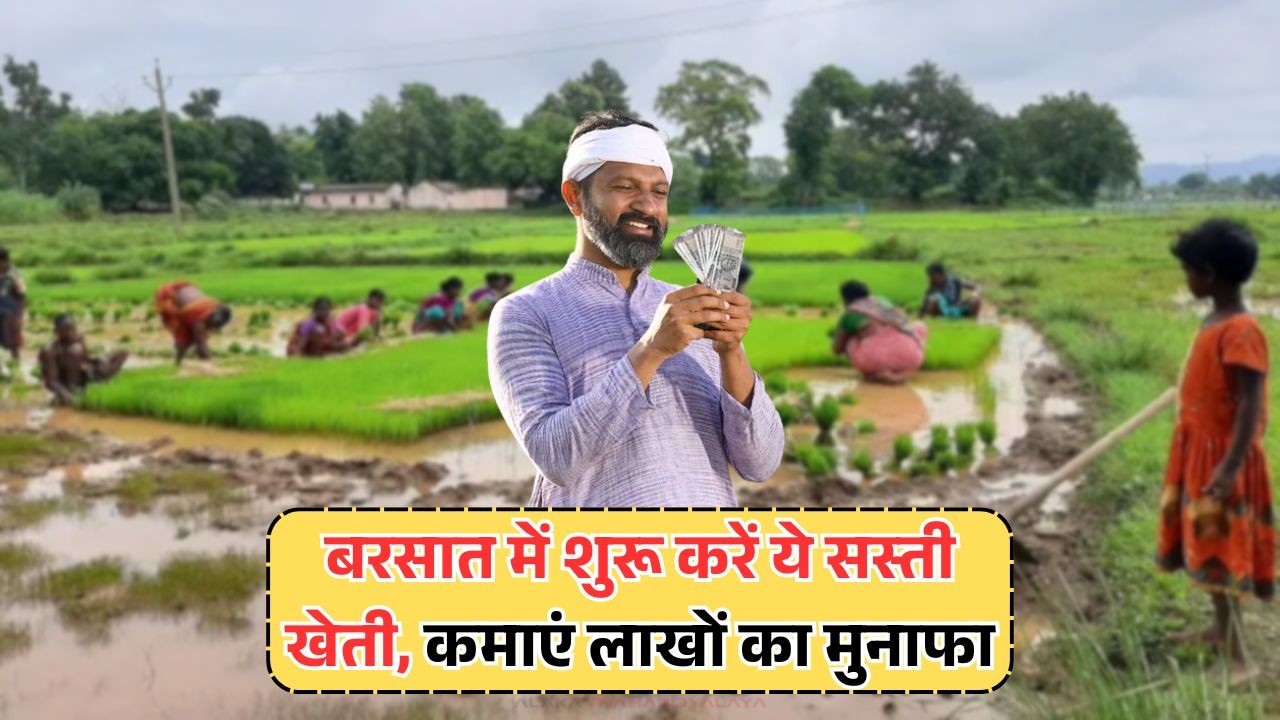 Rainy Season Farming