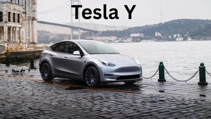 Tesla India