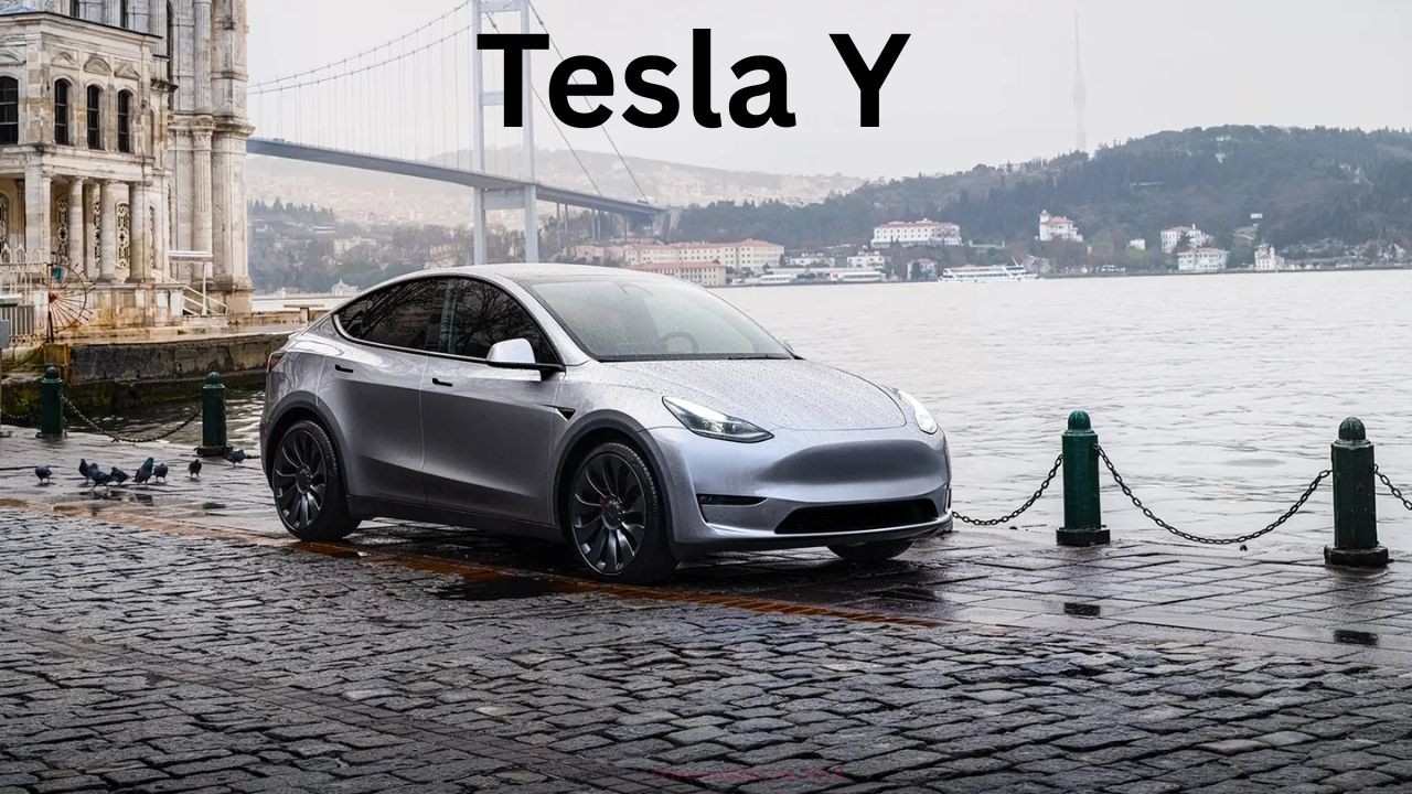 Tesla India