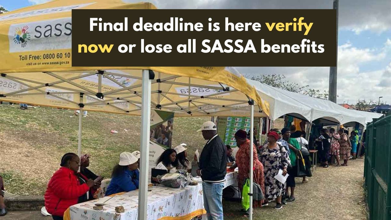 Verification for Government Services