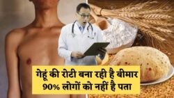 गेहूं की रोटी खाने के 4 नुकसान – 90% लोग नहीं जानते ये हेल्थ डेंजर, डॉक्टर भी रह गए हैरान Wheat Roti