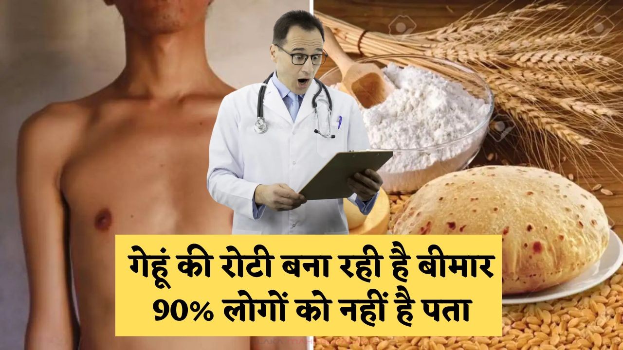 Wheat Roti