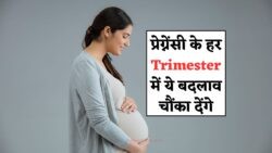गर्भावस्था के हर Trimester में कैसे बदलता है शरीर? जानिए क्या-क्या सावधानी रखनी ज़रूरी है