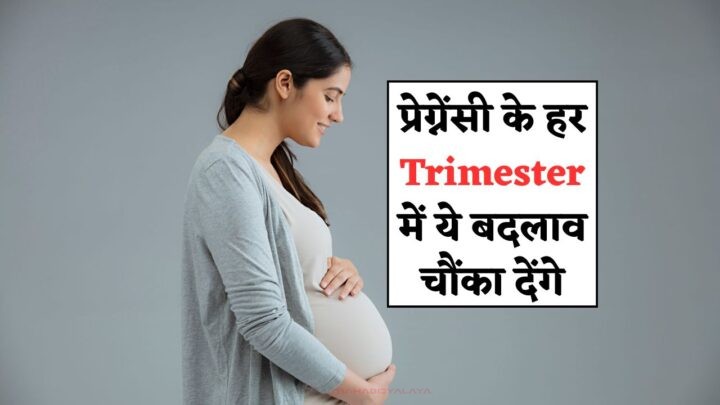 Pregnancy Trimester Changes