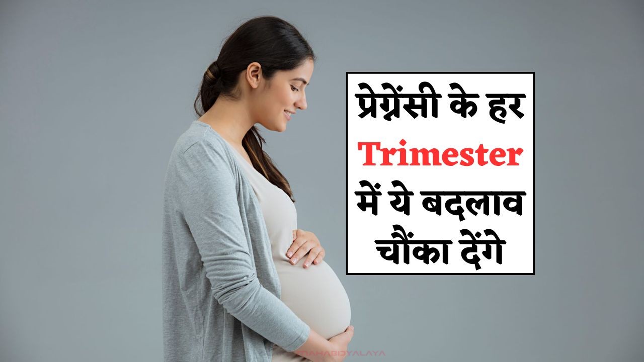 Pregnancy Trimester Changes