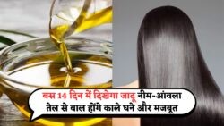 बालों को काला और घना बनाना है? 2 हफ्ते तक लगाएं Neem और Amla तेल – असर देखकर हैरान रह जाएंगे!