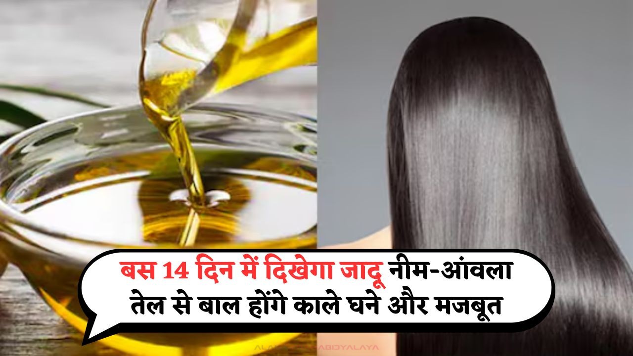 Neem Amla Oil